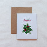 Boxed Variety Set of Christmas Cards - Pine and Berries